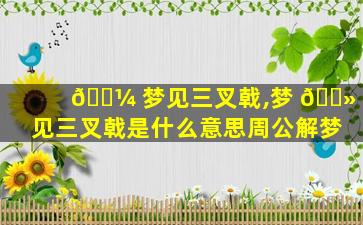 🌼 梦见三叉戟,梦 🌻 见三叉戟是什么意思周公解梦